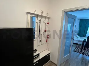 Pronájem bytu 1+kk, Brno, třída Generála Píky, 34 m2