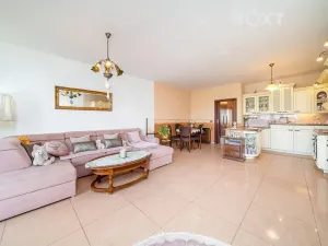 Prodej bytu 3+kk, Olomouc, Družební, 89 m2