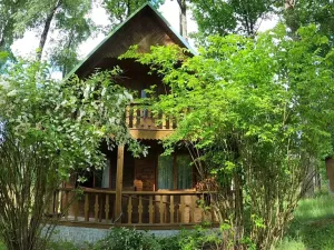 Prodej chaty, Horní Pěna, 41 m2