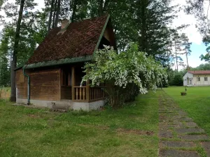 Prodej chaty, Horní Pěna, 41 m2