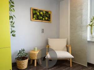 Pronájem bytu 2+kk, Brno, Horníkova, 45 m2