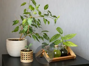 Pronájem bytu 2+kk, Brno, Horníkova, 45 m2