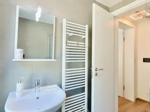 Pronájem bytu 1+kk, Brno, Bystrcká, 30 m2