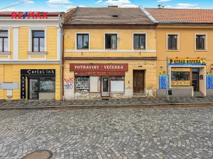 Prodej obchodního prostoru, Kostelec nad Černými lesy, Pražská, 250 m2