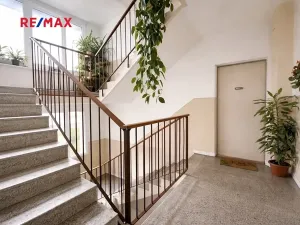 Prodej bytu 2+1, Kralovice, Průběžná, 49 m2