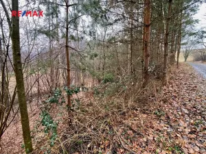 Prodej rybníku, Ondřejov, 8264 m2