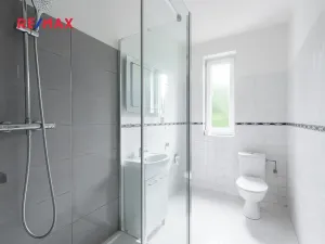 Prodej komerční nemovitosti, Měchenice, Hlavní, 330 m2