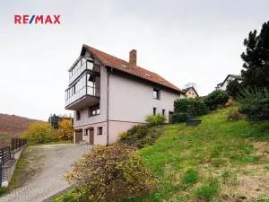 Prodej komerční nemovitosti, Měchenice, Hlavní, 330 m2