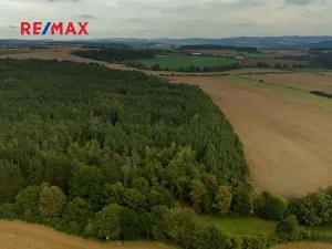 Prodej lesa, Všehrdy, 35057 m2