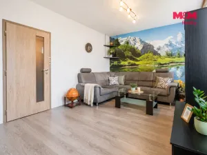 Prodej bytu 4+1, Mladošovice, 91 m2