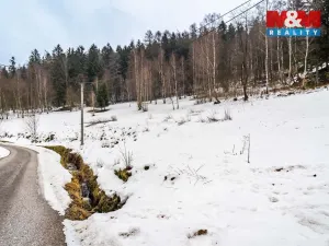 Prodej pozemku pro bydlení, Dolní Dvůr, 9366 m2