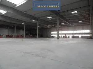 Pronájem skladu, Blučina, 1554 m2