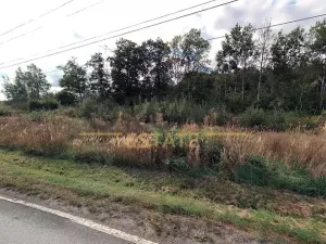 Prodej podílu pole, Praha, 3695 m2