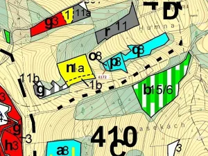 Dražba lesa, Zděchov, 216 m2