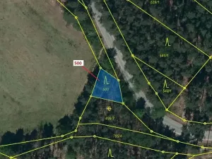 Dražba lesa, Náměšť nad Oslavou, 177 m2