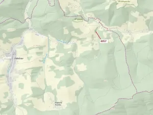 Dražba lesa, Zděchov, 435 m2