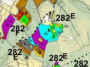 Dražba lesa, Lhota Rapotina, 1938 m2