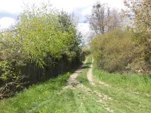 Dražba pozemku, Vítkov, 3225 m2