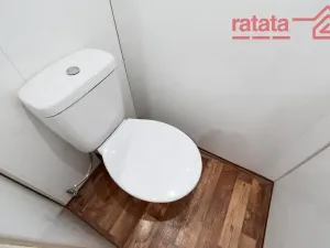 Pronájem bytu 1+1, Chomutov, Hutnická, 39 m2