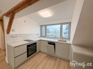 Pronájem bytu 2+kk, Brno - Dvorska, Zapletalova, 49 m2