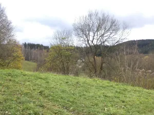 Prodej pozemku, Aš, 1691 m2