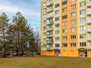 Pronájem bytu 2+1, České Budějovice, Nádražní, 50 m2