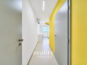 Pronájem ordinace, Znojmo, 28 m2
