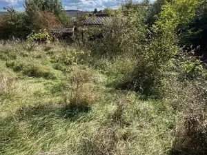 Prodej lesa, Březolupy, 628 m2