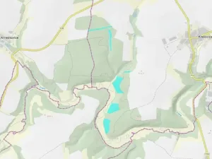 Prodej lesa, Křelovice, 102822 m2