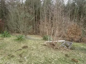 Prodej lesa, Slapy, 4059 m2