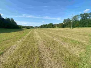 Dražba pole, Dobrkovice, 30944 m2