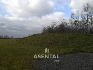 Prodej komerčního pozemku, Orlová - Poruba, 19948 m2