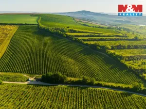 Prodej pole, Šardice, 56699 m2