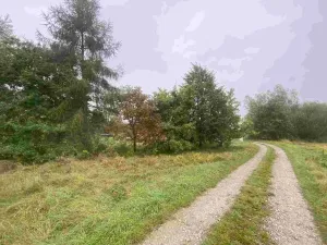 Prodej pozemku, Dolní Bukovsko - Bzí, 588 m2