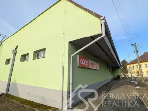 Prodej obchodního prostoru, Předslav, 494 m2