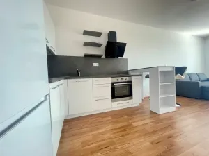 Pronájem bytu 1+kk, Pardubice - Zelené Předměstí, Pod Vinicí, 41 m2