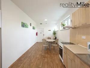 Prodej ubytování, Dobrovice, 500 m2