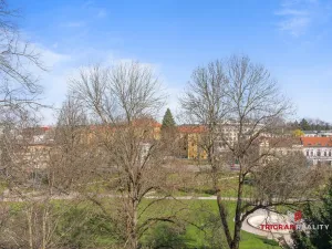 Pronájem bytu 2+kk, Hradec Králové, Dlouhá, 38 m2