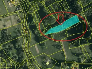 Prodej lesa, Huslenky, 11045 m2