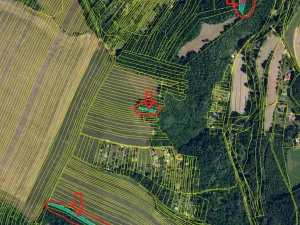 Prodej podílu lesa, Ivančice, 2330 m2