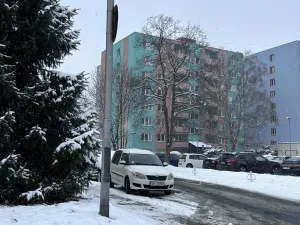 Pronájem bytu 1+kk, Ostrava - Moravská Ostrava, U Parku, 25 m2