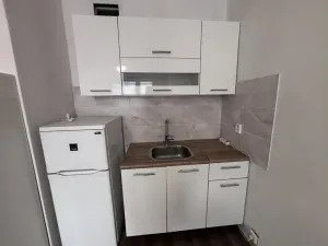 Pronájem bytu 1+kk, Ostrava - Moravská Ostrava, U Parku, 25 m2