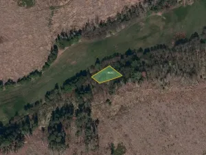 Prodej pole, Olšany, 146667 m2