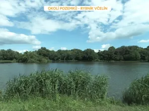 Prodej podílu pozemku pro bydlení, Břeclav, 656 m2