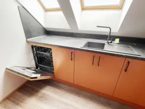 Prodej rodinného domu, Plzeň - Východní Předměstí, Stanko Vodičky, 218 m2