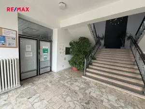 Pronájem obchodního prostoru, Velehrad, Salašská, 101 m2