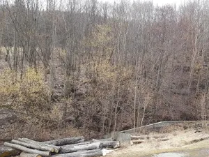 Prodej pozemku, Oskava, 5983 m2