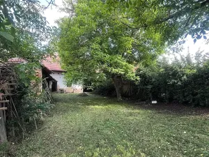 Prodej rodinného domu, Kožušice, 230 m2