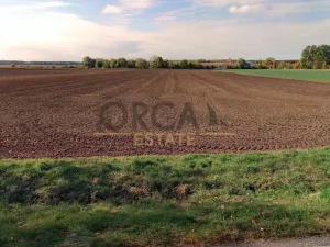 Prodej podílu pole, Radovesnice II, 1306 m2