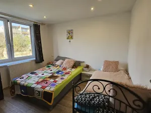 Prodej rodinného domu, Jaroměř, Národní, 217 m2